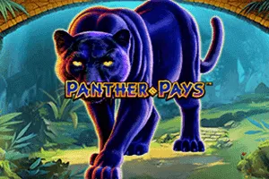 Panther Pays - NOLIMITSLOT777