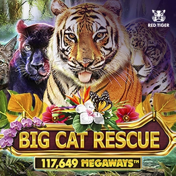 Big Cat Rescue Megaways - NOLIMITSLOT777