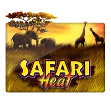 Joker123 : Safari Heat - NOLIMITSLOT777