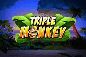 Triple Monkey - NOLIMITSLOT777