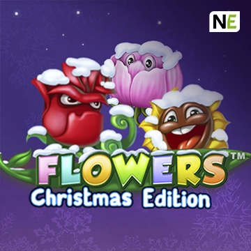 Flowers Christmas Edition - NOLIMITSLOT777