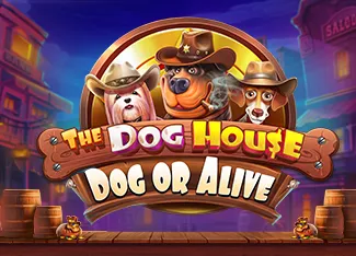 Pragmatic : The Dog House - Dog or Alive - NOLIMITSLOT777
