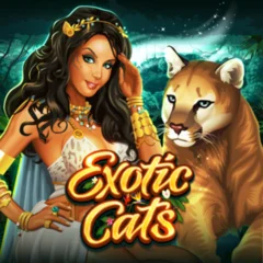Exotic Cats - NOLIMITSLOT777