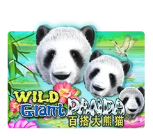 Joker123 : Wild Giant Panda - NOLIMITSLOT777