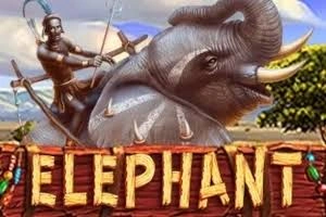 PLAYSTAR : ELEPHANT - NOLIMITSLOT777