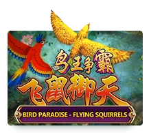 Bird Paradise - NOLIMITSLOT777