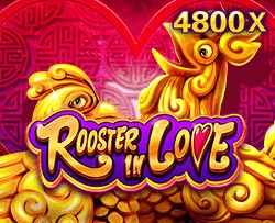 Rooster In Love - NOLIMITSLOT777