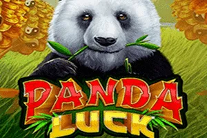 Panda Luck - NOLIMITSLOT777