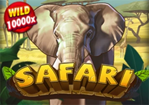 Safari - NOLIMITSLOT777