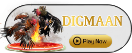 Digman - NOLIMITSLOT777