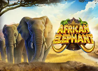 Pragmatic : African Elephant - NOLIMITSLOT777